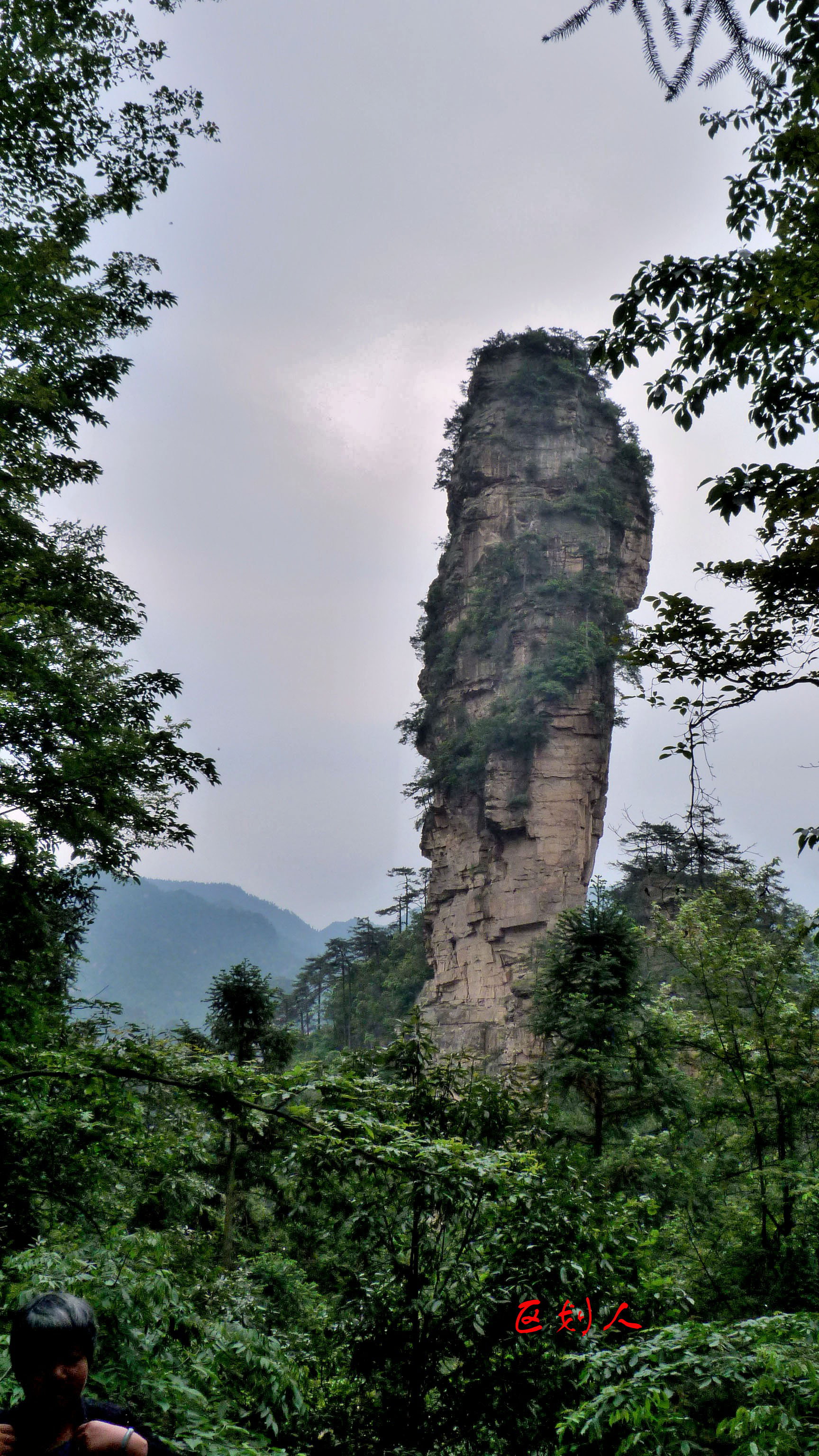 blank" href="/item/武陵源风景名胜区/2570053"