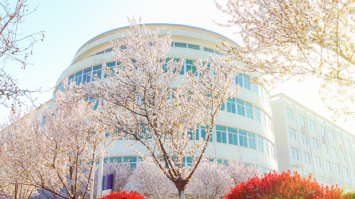 西安海棠职业学院