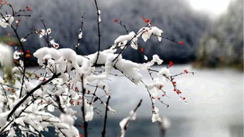 a>,最终在 a href="#" data-lemmaid="53706">云 /a>底形成白色的丝缕