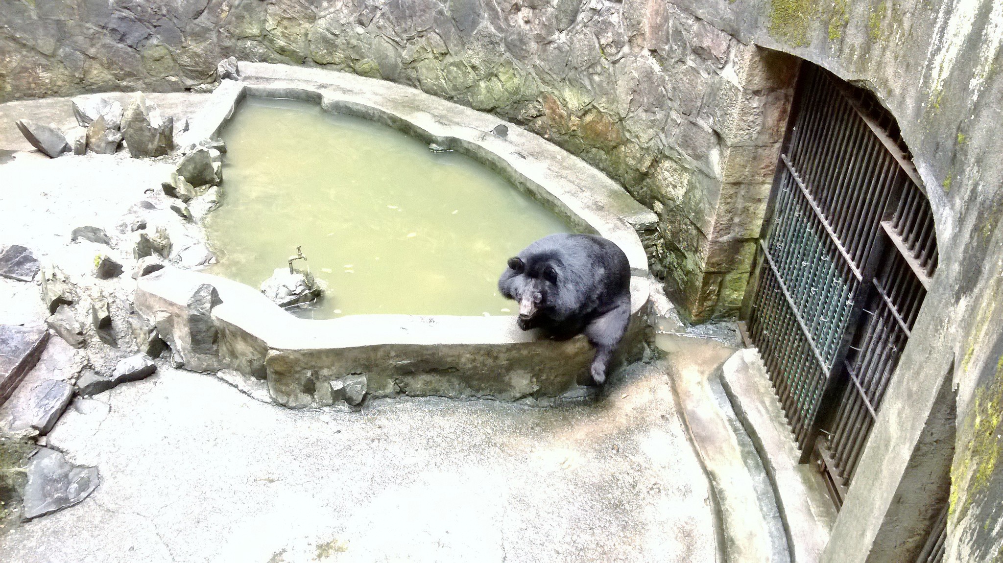 南平九峰山动物园