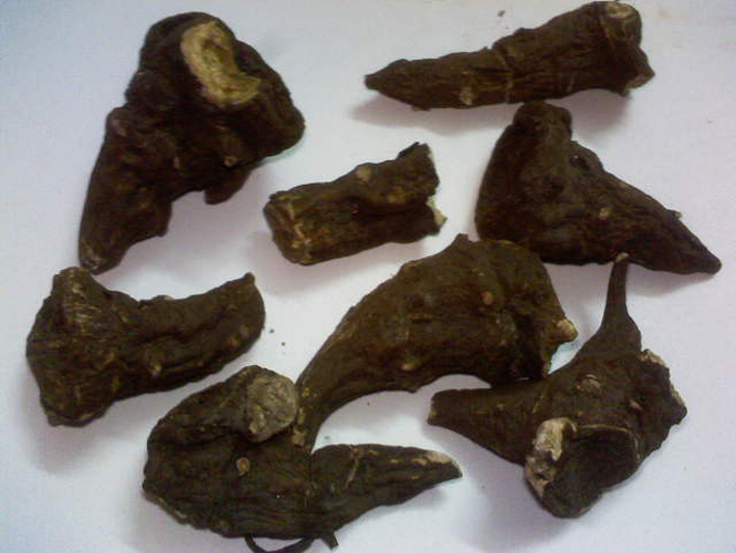 p>川乌,正名为乌头(学名:aconitum carmichaelii radix,别名:鹅
