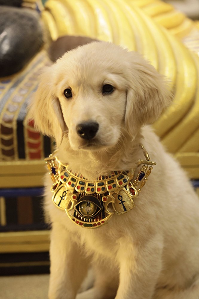  p>《护宝狗狗》是由 a>罗伯特·文斯 /a>执导的一部喜剧片.