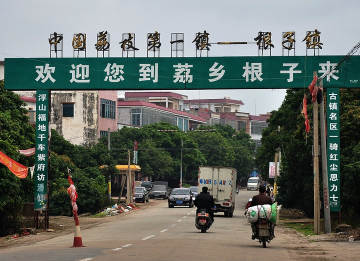 中国荔枝第一镇