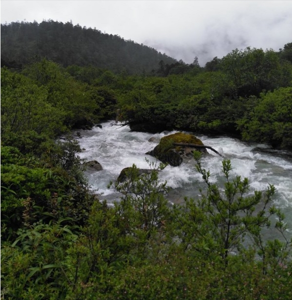  p data-id="gnwg47q3yk">多雄拉河:是墨脱县西部的河,发源于 a