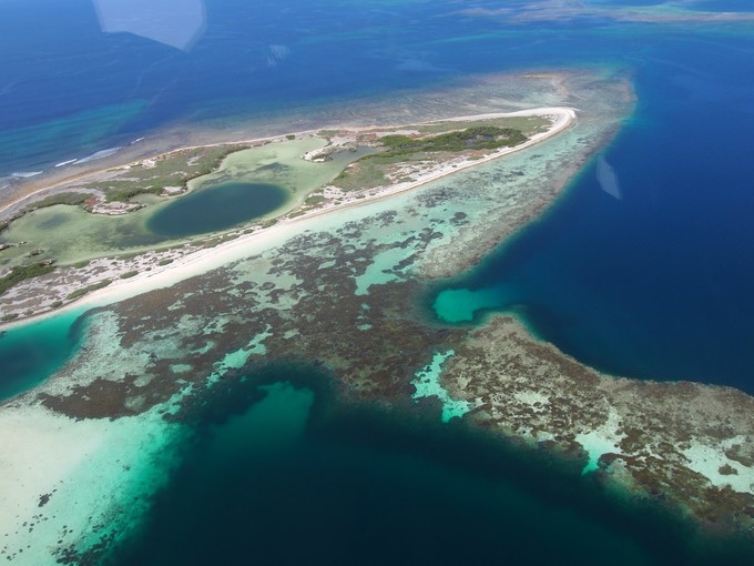 西澳大利亚鲨鱼湾