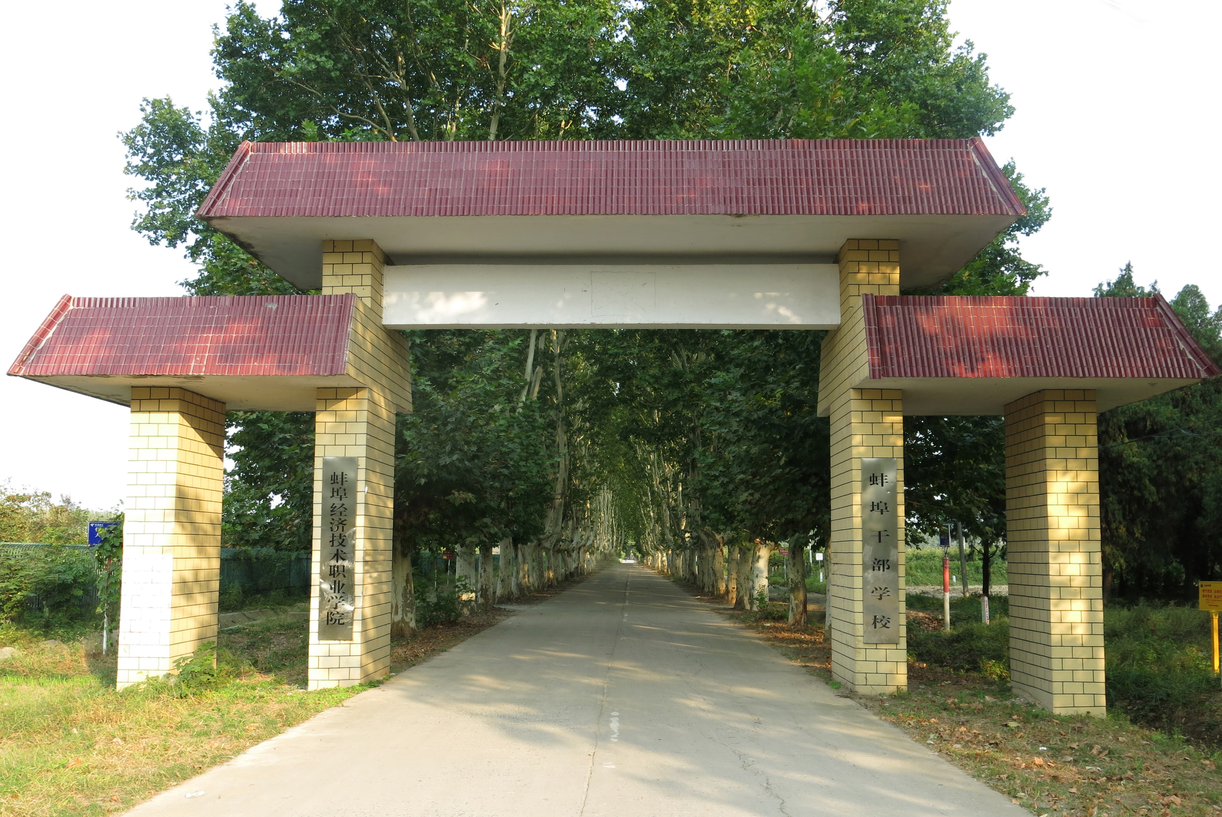 data-id="gnayydikjn">蚌埠干部学校成立于1962年,安徽省固镇县新马桥