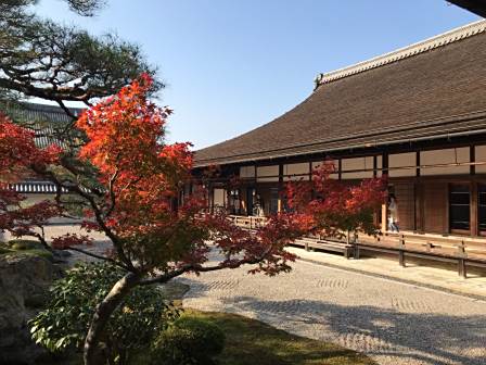 京都