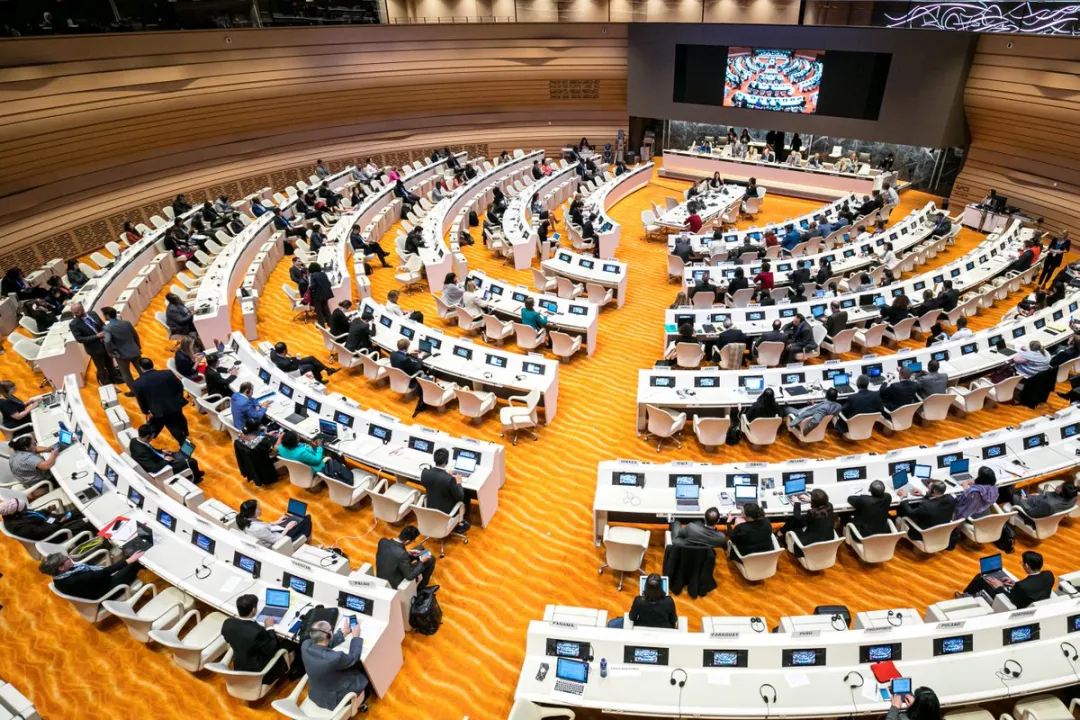 2020年世界卫生大会