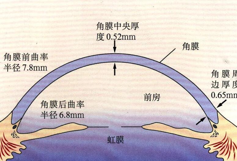 前房深度检查法