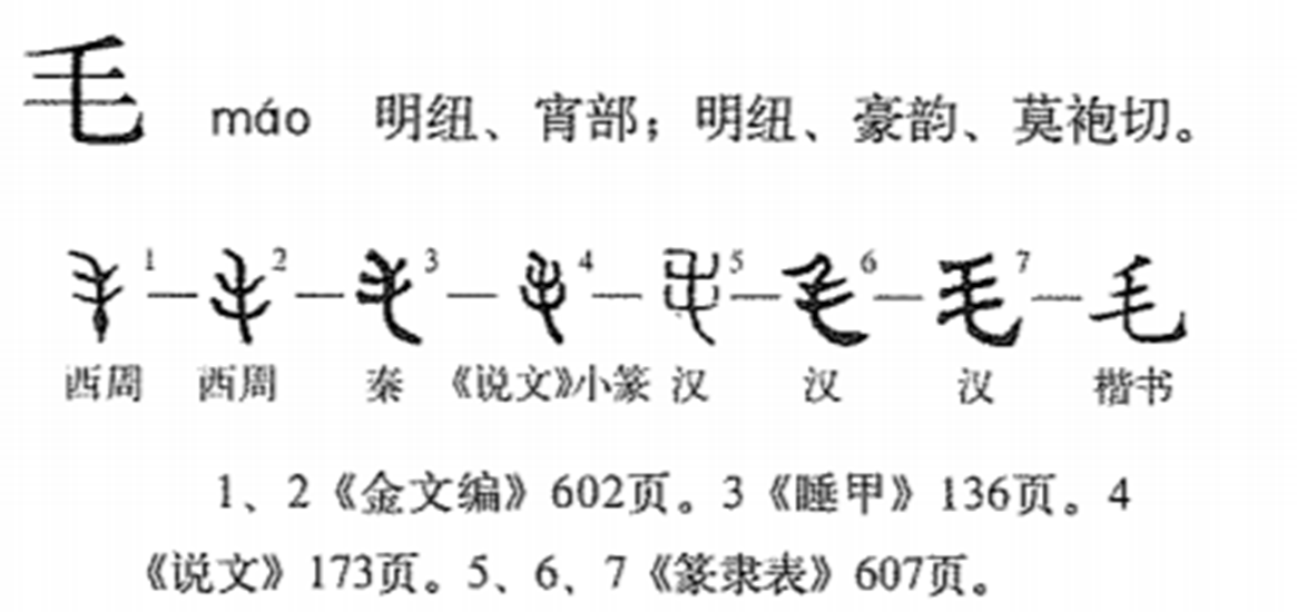 毛