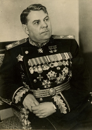  p>亚历山大·米哈伊洛维奇·华西列夫斯基(俄文:Алекса  нд