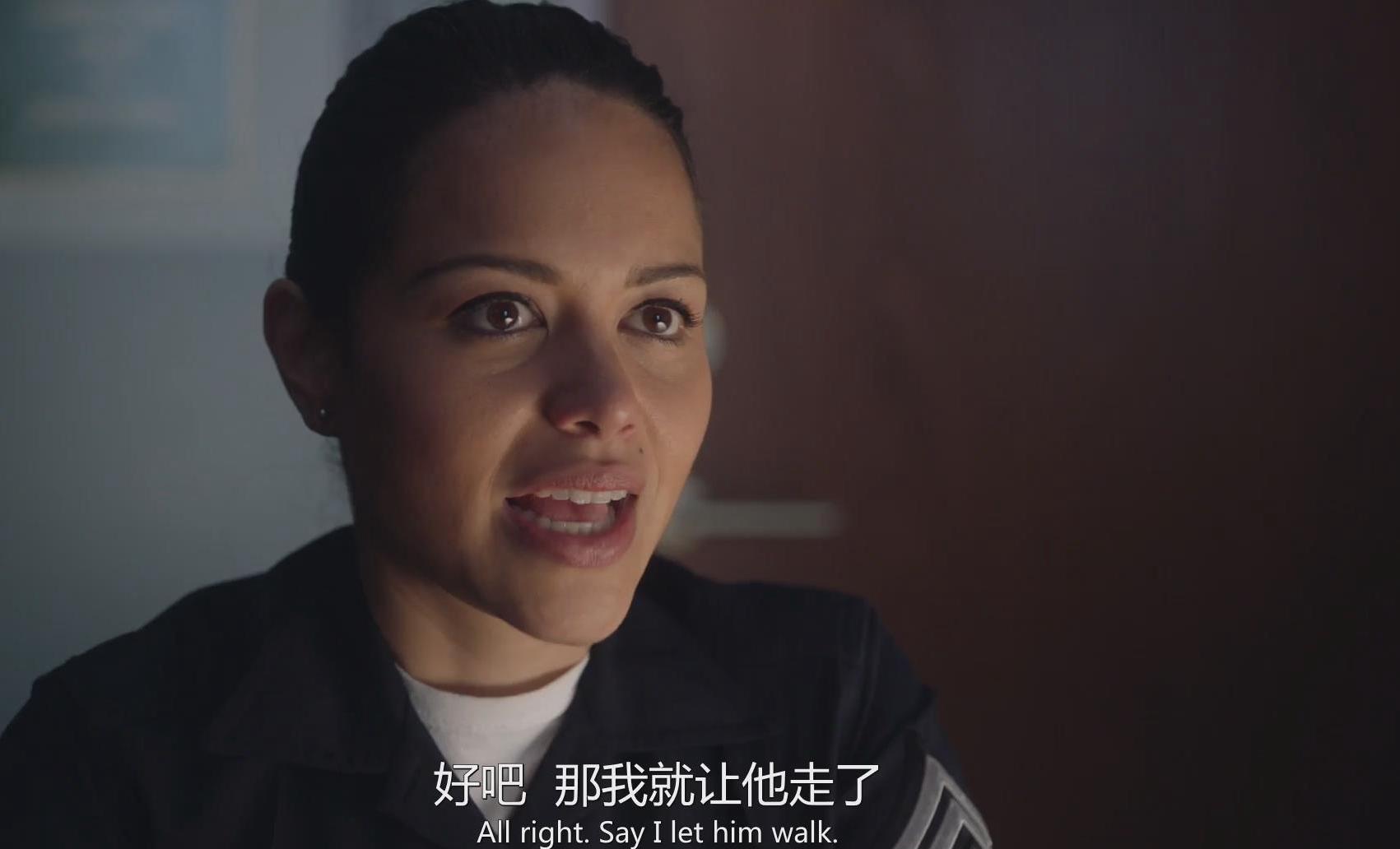 菜鸟老警第一季