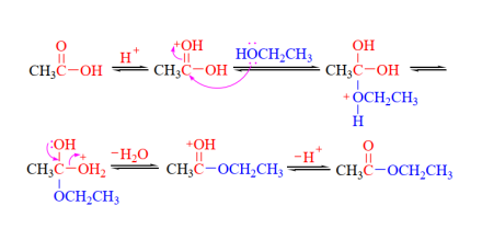 酯化反应的加成-消除机理