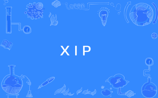 XIP_百度百科