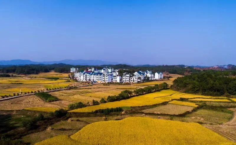  p>新滩乡,隶属于江西省上饶市铅山县,地处铅山县北部,东与上饶县董团