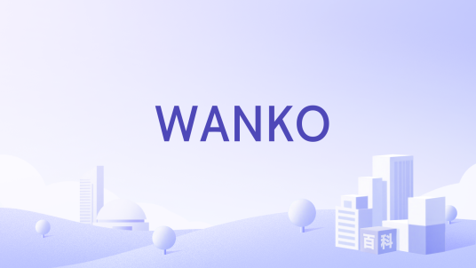 WANKO_百度百科