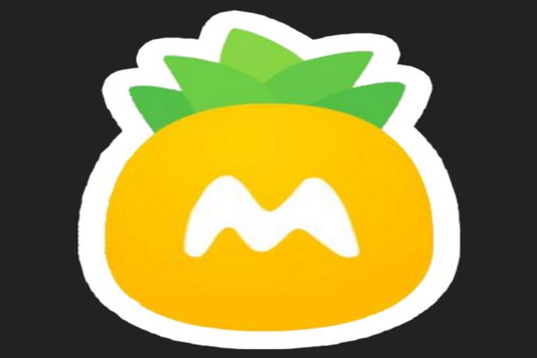 菠萝姐姐手工坊