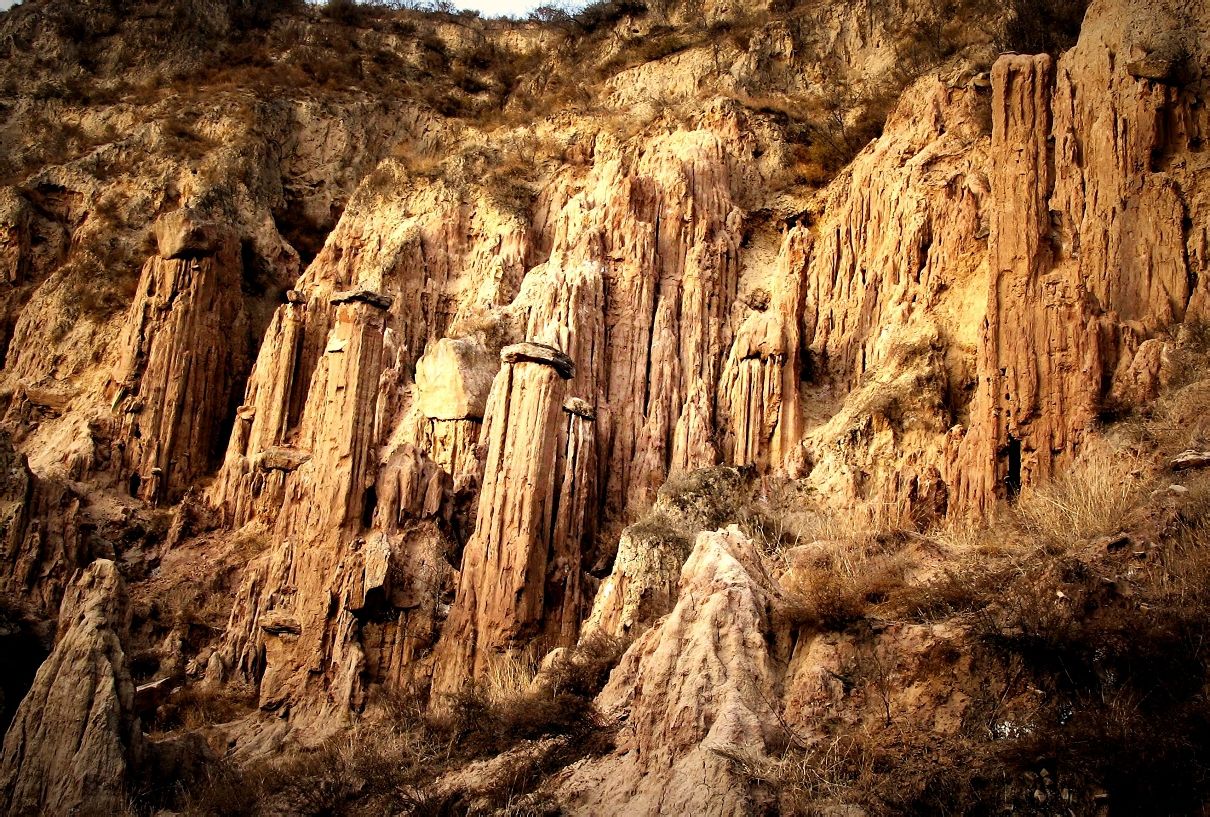  p>土柱是指用于研究的柱状土体.