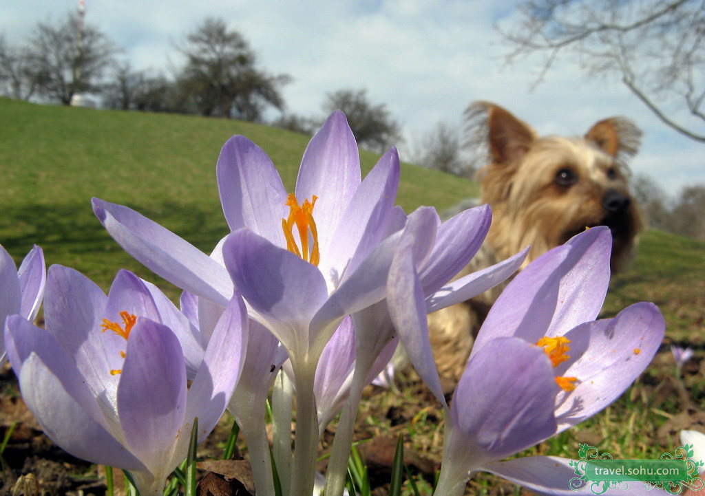 united states of america,united states,简称"美国") /span> sup