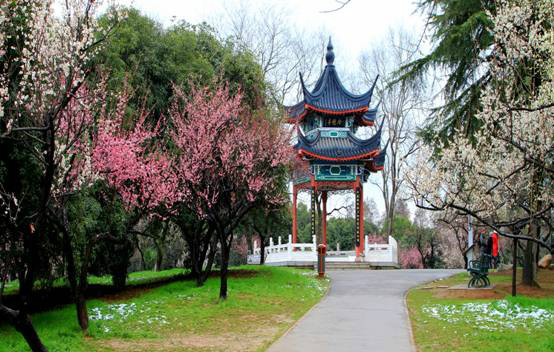  p>东湖梅园(武汉东湖磨山梅园)为全国 a target="_blank" href="