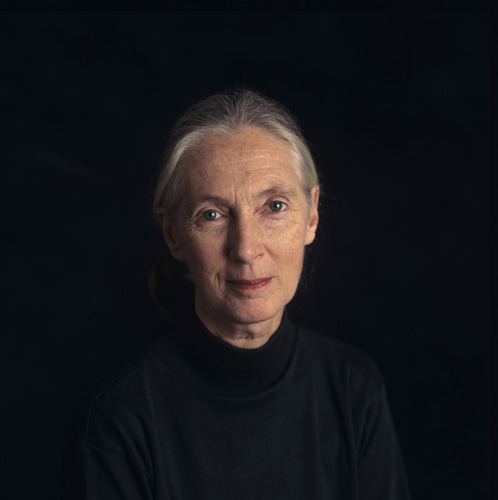  p>珍妮·古道尔(jane goodall),是世界上拥有极高的声誉的动物学家