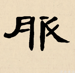 服（汉语文字）_百度百科