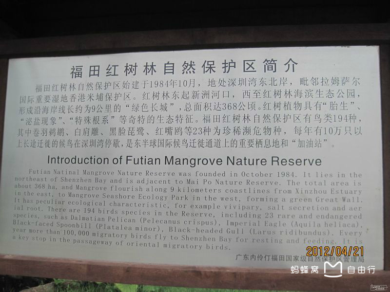红树林海滨公园