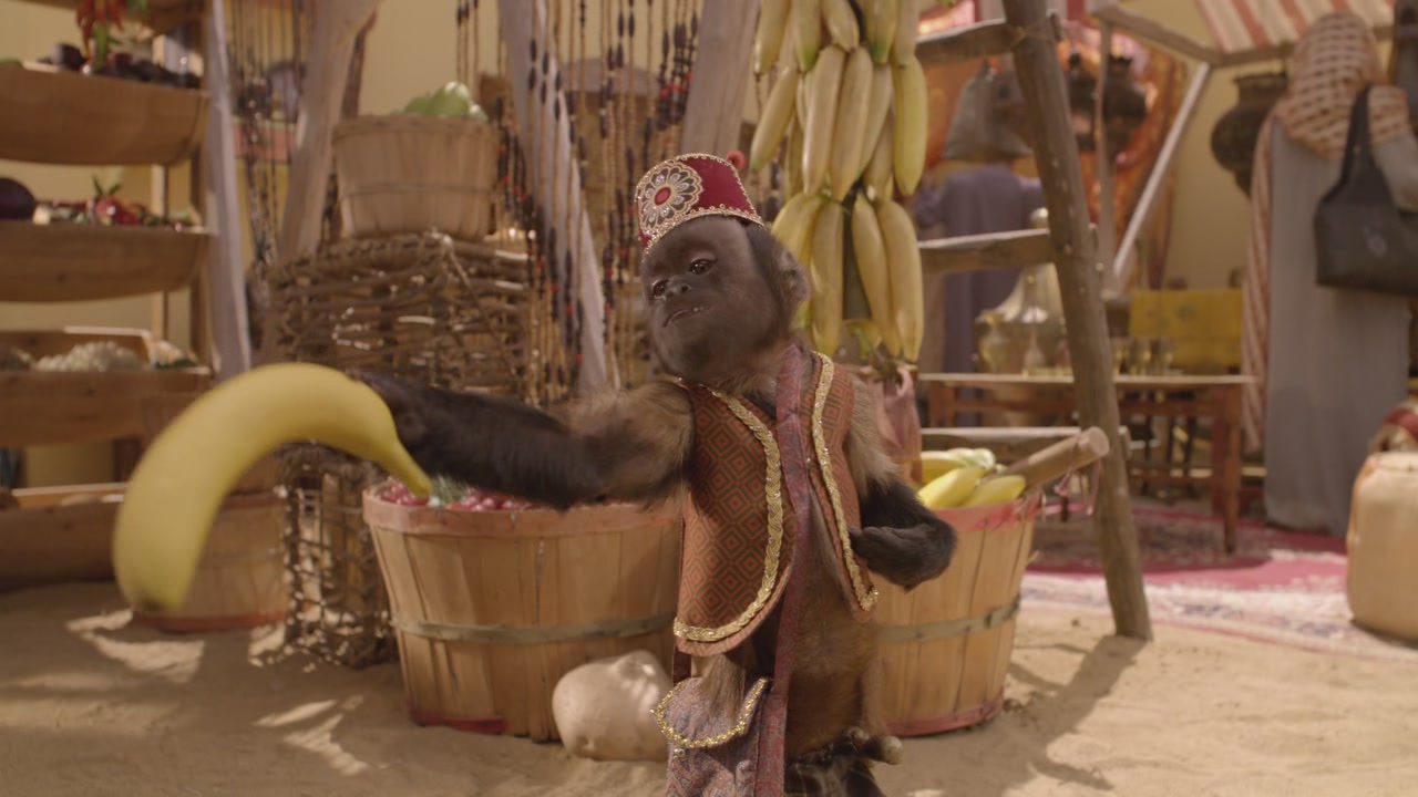  p>《护宝狗狗》是由 a>罗伯特·文斯 /a>执导的一部喜剧片.