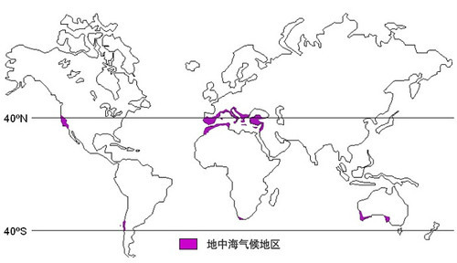 地中海农业区