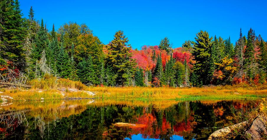  p data-id="go088mbq31">阿岗昆省立公园(algonquin provincial park