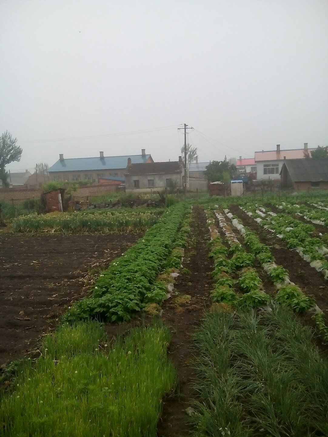  p data-id="gn37423gc5">集贤四村是北京市大兴区旧宫镇下辖村. /p>