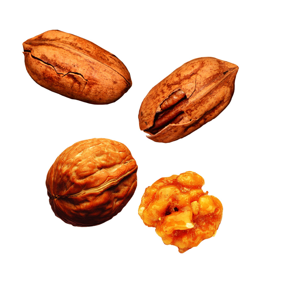  p>坚果(英文名:nut),是 a target="_blank" href="/item/闭果