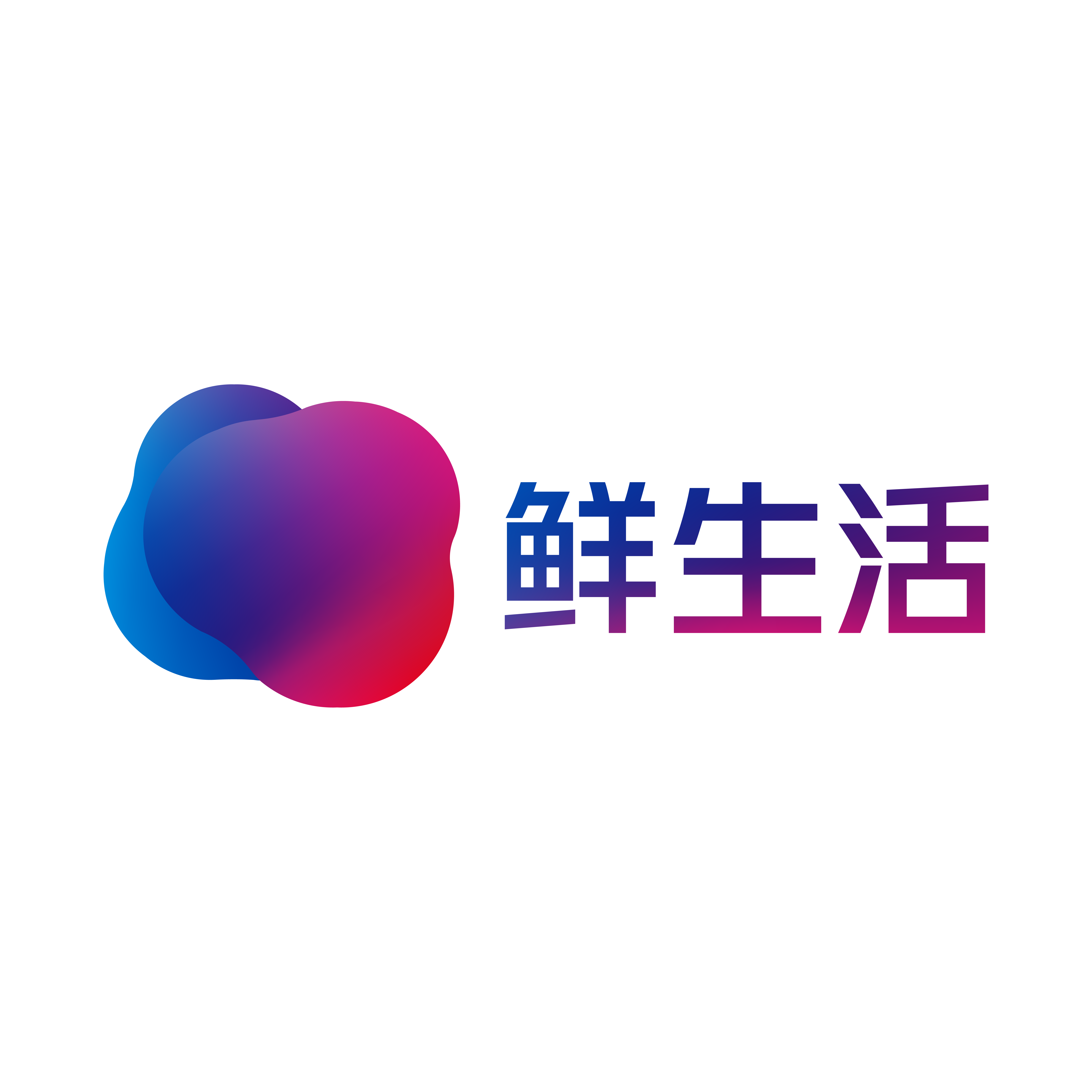 北京鲜生活电子商务有限公司