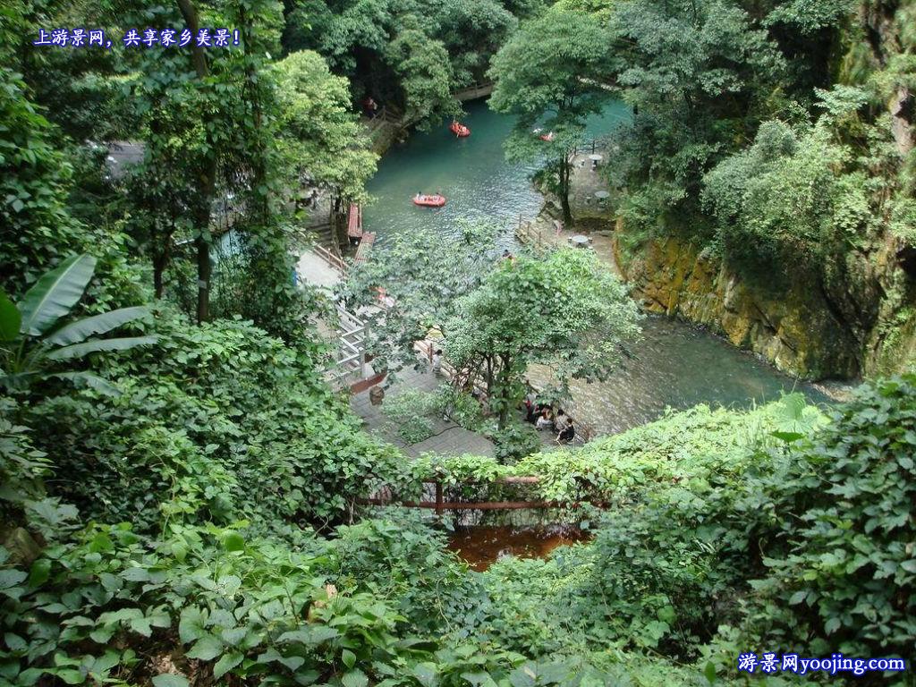  p>沉水樟〔拉丁学名: i>cinnamomum micranthum /i> (hay.