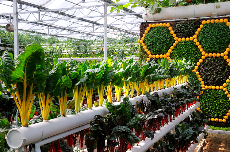 寿光蔬菜科技示范园