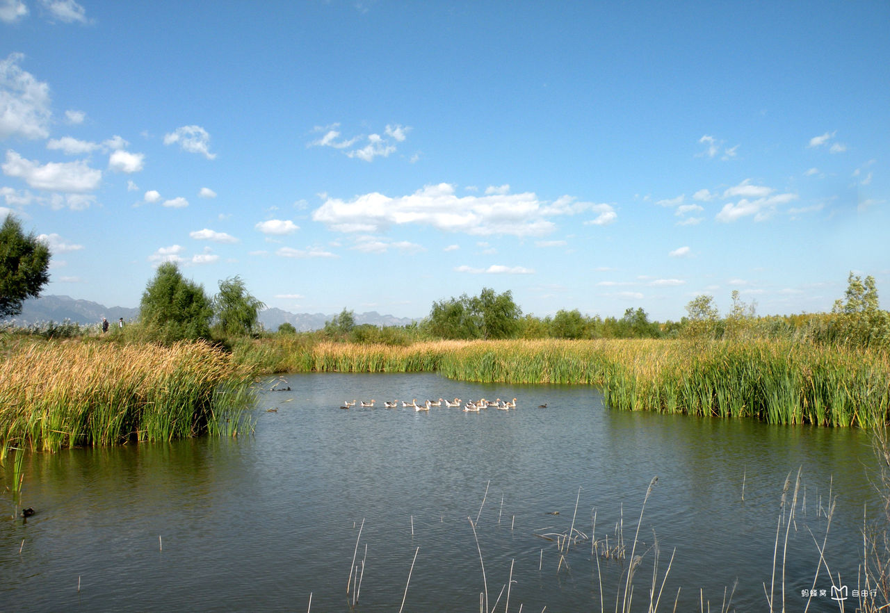  p>北京野鸭湖湿地自然保护区位于北京市 a target="_blank" href="