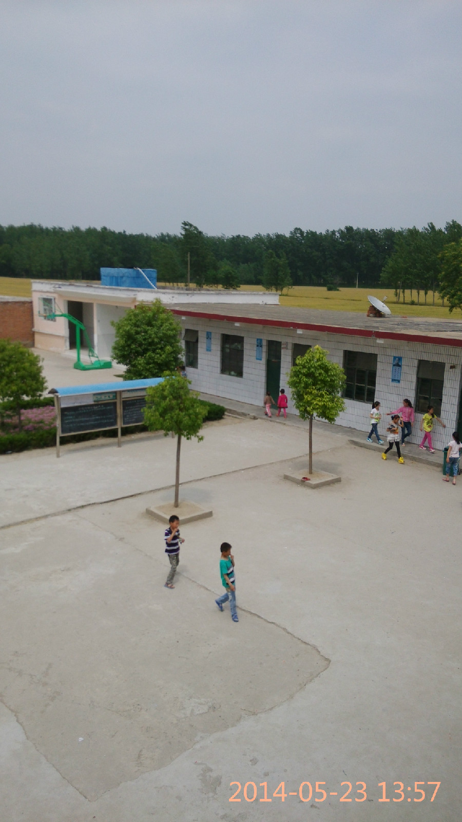 淮南网站建设路小学(淮南网站建设路小学官网)