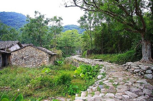 绿树村边合 百度百科
