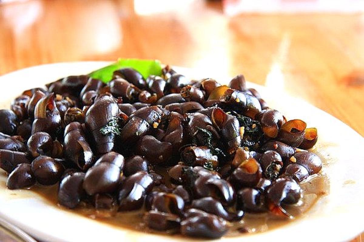  p>山田螺国内主要分布于浙江杭州,广西山地.