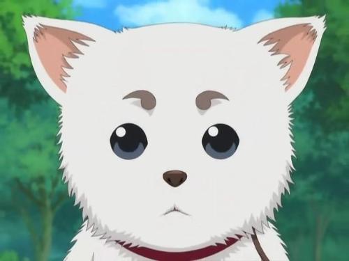 及其衍生作品中的角色,先代狛神的儿子,定春的兄弟