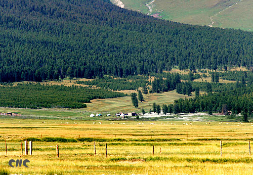 松树塘位于天山北麓,地跨哈密,巴里坤和伊吾的交界处,海拔1 800-3