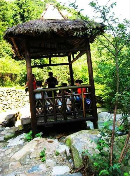 莲花洞森林公园