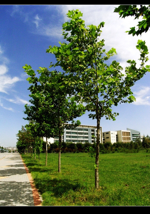 shandong polytechnic university
