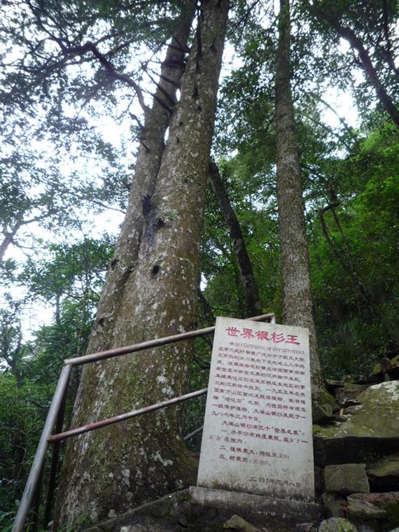 圣堂山