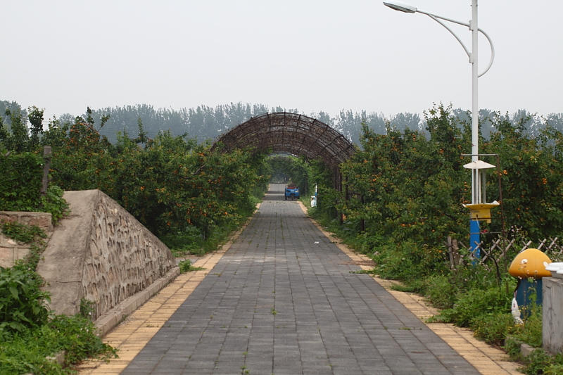  p>怀柔生态采摘园位于北京东北部,距市区 50 公里,是京郊著名的旅游