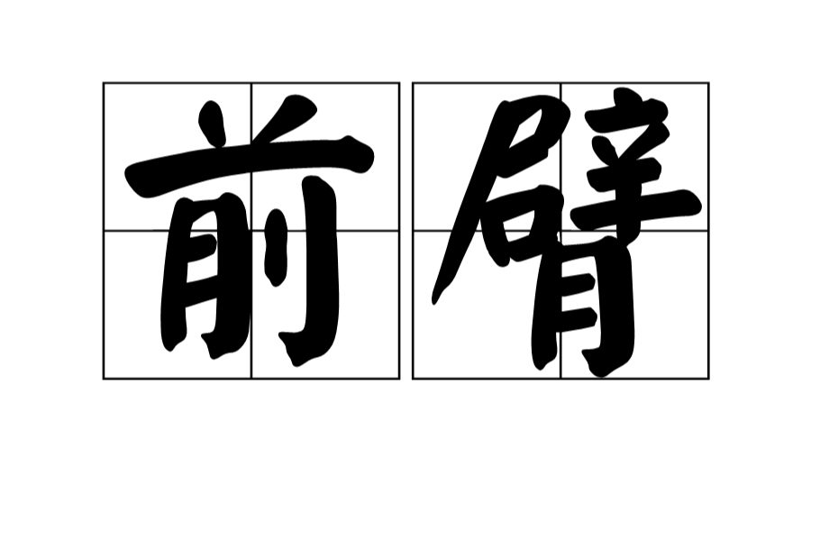 >灵长类动物 /a>臂或 a target="_blank" href="/item/前肢/10198301"