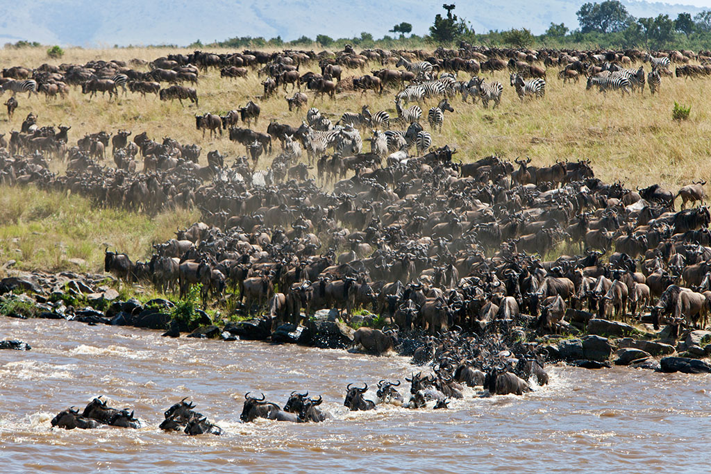  p>坦桑尼亚联合共和国(英文:the united republic of tanzania),简称