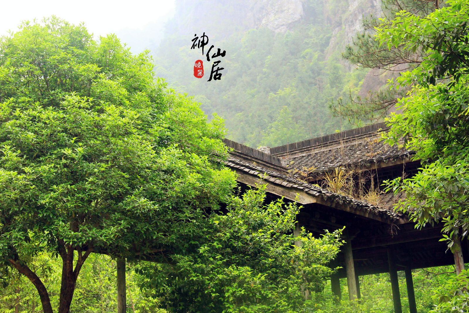  p>神仙居景区是仙居国家公园核心区,国家级风景名胜区,国家5a级景区.