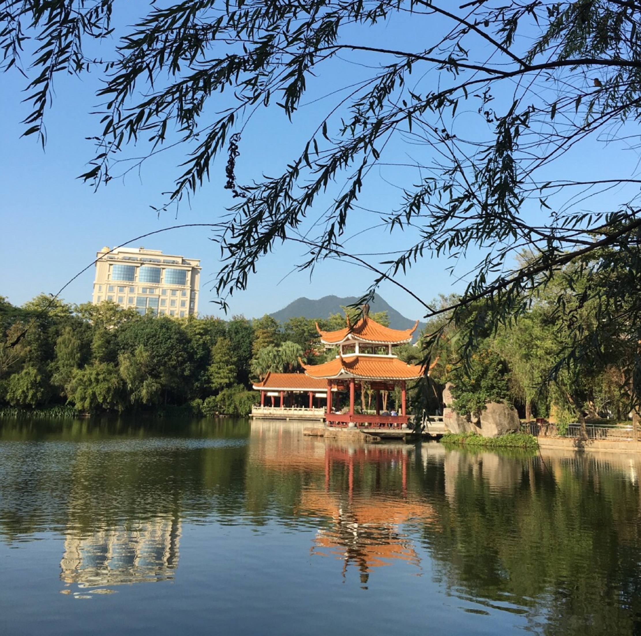 东莞长安公园