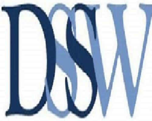 DSSW模型_百度百科